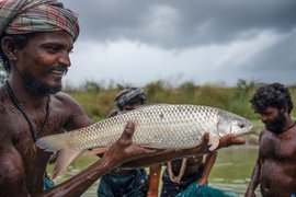 'എന്നെ ഫോട്ടോഗ്രാ‍ഫറാക്കിയത് മത്സ്യങ്ങളാണ്'