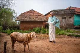 तमिलनाडु : नागी रेड्डी की रागी की दुनिया