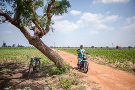 In red hot pursuit: Tamil Nadu’s chilli farmers