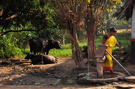 Bhangaddih's women