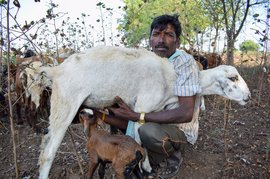 வீட்டுக்கு கொண்டுசேர்க்காத சாலைகள்