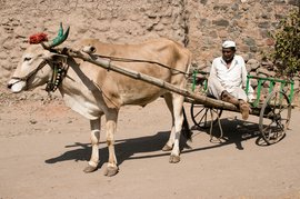 ‘तो जर थांबला तर माझं आयुष्य पण थांबणार बघा’