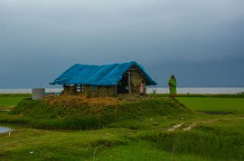 Stories from the Sundarbans