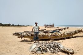 Big Pharma kills small fish in Kovvada