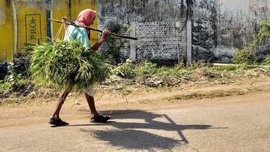 ‘এই হাত-পা দুটোই আমাদের সম্বল’