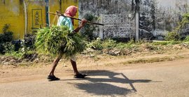 ‘हाथ-पैर ही हमारी अकेली संपत्ति है’