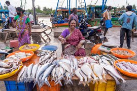 ভেনিৰ ষ্ট’ৰি: ‘এগৰাকী সাহসী মহিলা’ৰ কাহিনী