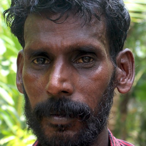 ARJUNAN V R is a Coconut plucker from Kokkothamangalam, Kanjikuzhy, Alappuzha, Kerala