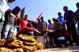 شہد کی مکھیوں کا پیچھا، بنگال سے چھتیس گڑھ تک