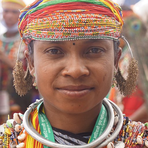 Gori Dhangda Majhi is a Farmer (cultivates paddy and <em>ragi</em>) from Bandhaguda, Khairput, Malkangiri, Odisha