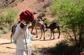 The fable of Lek and Lakshmi