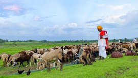 ‘ঘরে থাকার মতো ঘরই নেই আমাদের’