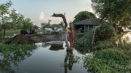 पाणी येतं, पाणी जातं