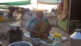 चाऱ्याच्या शोधात कुटुंबांची ताटातूट