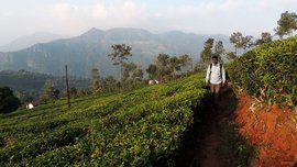 ‘ചിന്തിച്ച് പതുക്കെ മുന്നേറൂ, നിങ്ങള്‍ക്ക് സ്വര്‍ണ്ണം നേടാം’