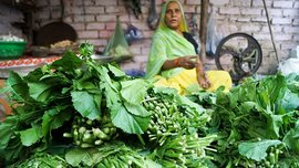 আমিও কৃষকেই আছিলোঁ...