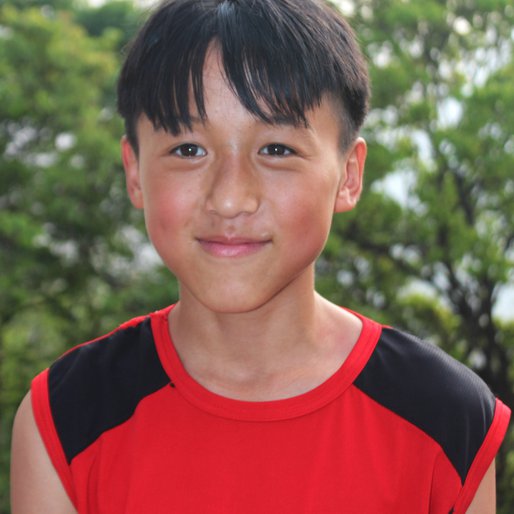 Rovilheu Angami is a Student (Class 8), occasionally helps his mother in farming and harvesting from Jotsoma, Sechu-Zubza, Kohima, Nagaland