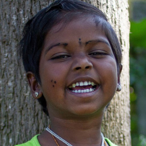 Akkipa is a Student from Gundri, Sathyamangalam, Erode, Tamil Nadu