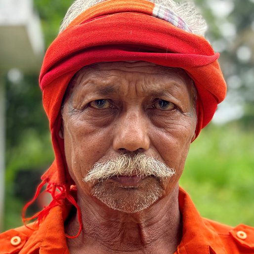 Maansinghbhai Rathva is a Farmer (cultivates cotton, corn and peanuts) and Pithora artist (traditional paintings of Gujarat) from Malaja, Chhotaudepur, Chhotaudepur, Gujarat