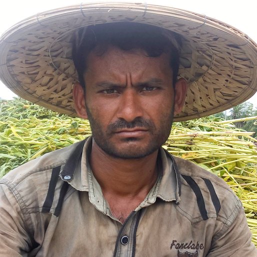 MUSTAFA MULLICK is a Bullock cart driver from Sheoratala, Kaliganj, Nadia, West Bengal