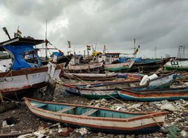 The shrinking pomfret of suburban Mumbai