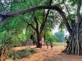 Bastar’s balancing act is child’s play