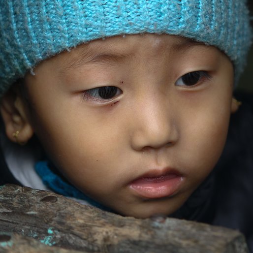 SAKSHAM GURUNG is a person from Jorebunglow Sukhiya Pokhri, Jorebunglow-Sukhia Pokhri, Darjeeling, West Bengal