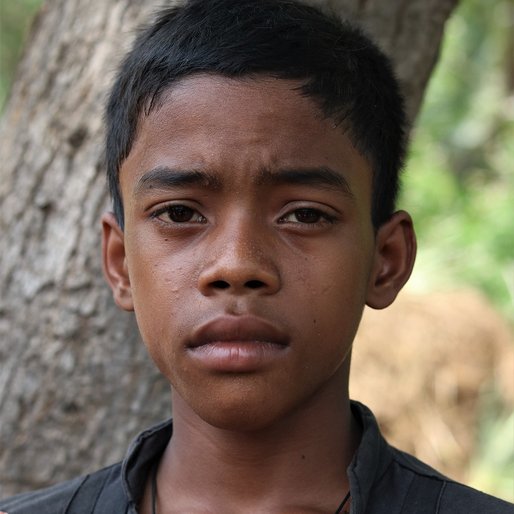 Subrata Bhui is a Student (Class 8) from Patapur, Barang, Cuttack, Odisha