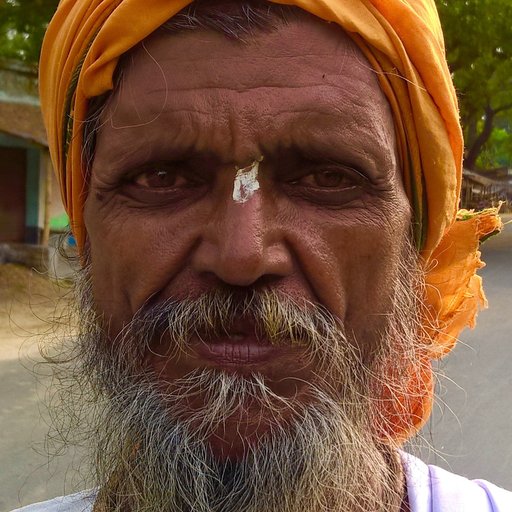 HARI DAS BAIRAGYO is a Itinerant from Panchdra, Tehatta II, Nadia, West Bengal