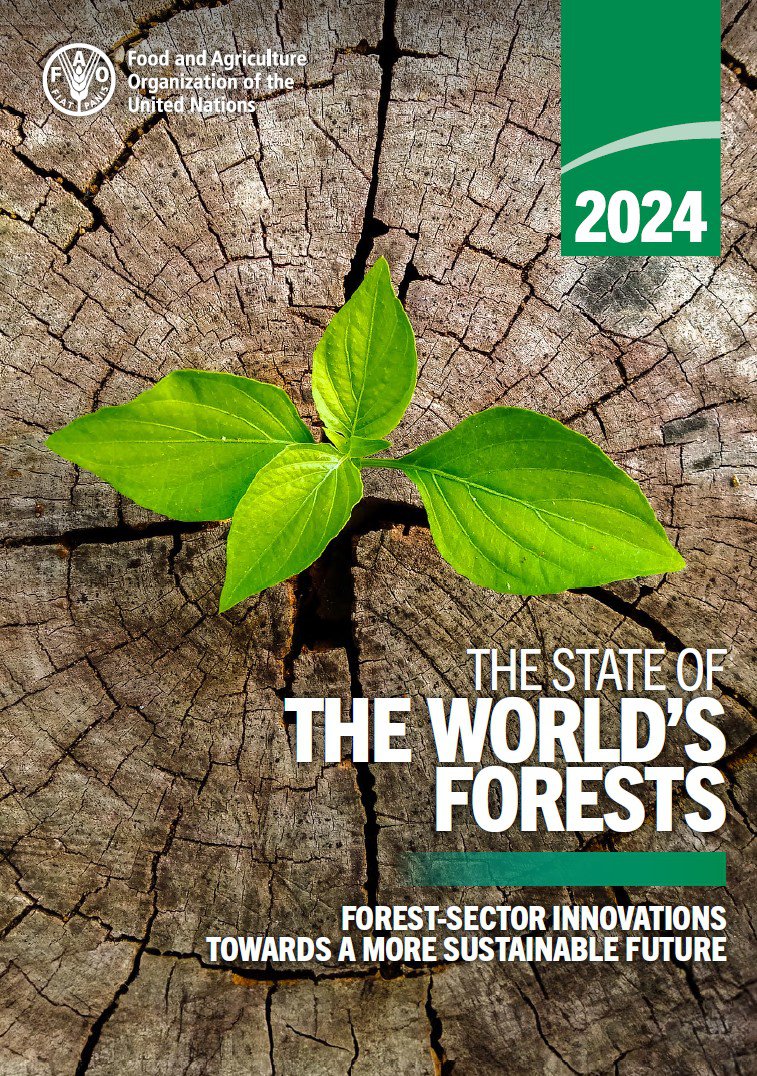The State of the World's Forests 2024.jpg