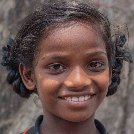 Dhanalakshmi C. is a Student (Class 6) from Neelapadi, Kilvelur, Nagapattinam, Tamil Nadu