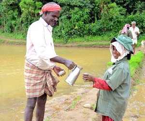 Farmer serves his labourers black tea and achappam

