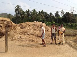 ‘‘ଜଙ୍ଗଲ ଛୋଟ ହେଲା, ହାତୀ ମାତିଲେ’’