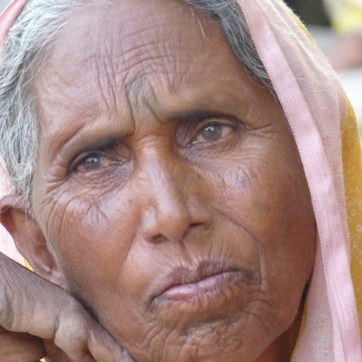 PARVATIBAI SHANKAR BAVISKAR is a Marginal farmer from Devpimpri, Jamner, Jalgaon, Maharashtra