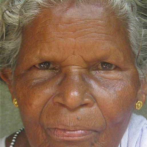 T.N. KAMALAMMA  is a Basket weaver from Pattazhi, Pathanapuram, Kollam, Kerala